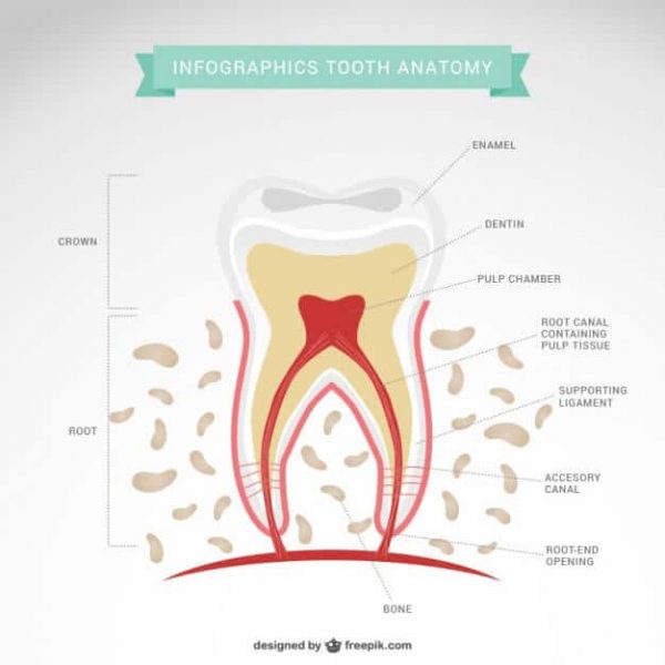 socket-preservation-adentaloffice socket-preservation-adentaloffice