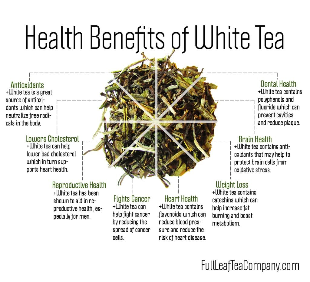 benefits of white tea infograph A Dental Office